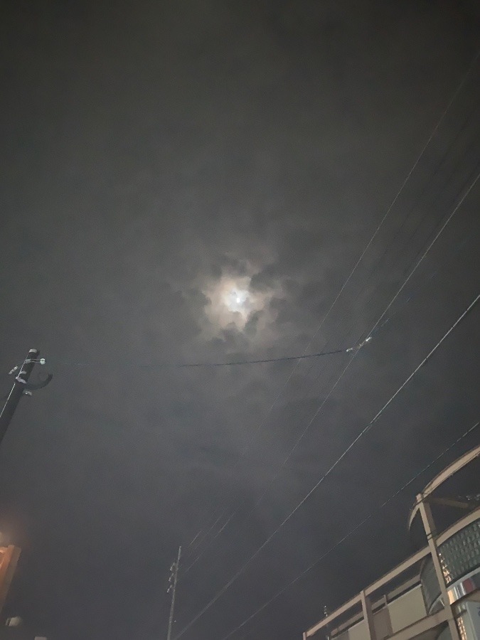 鵺の鳴く夜は…