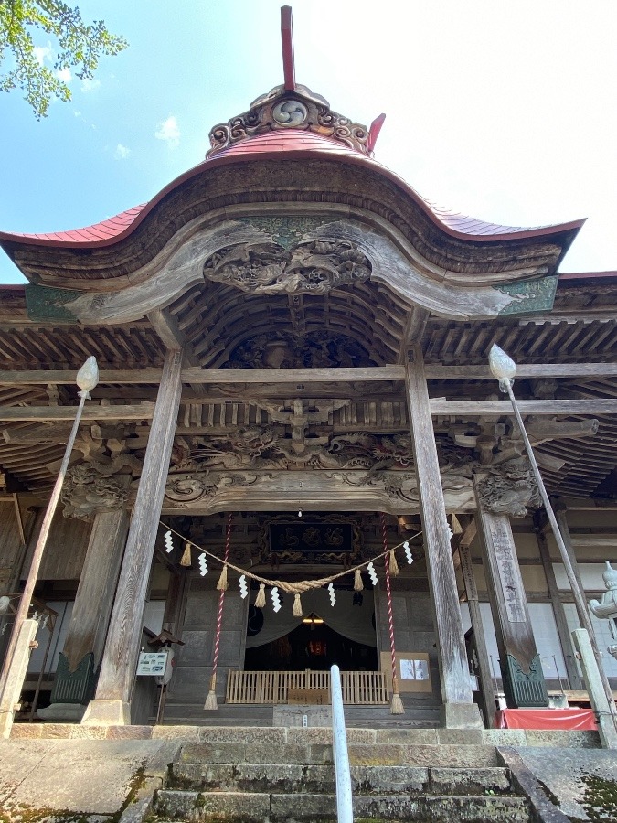 神社詣り⛩‼️①