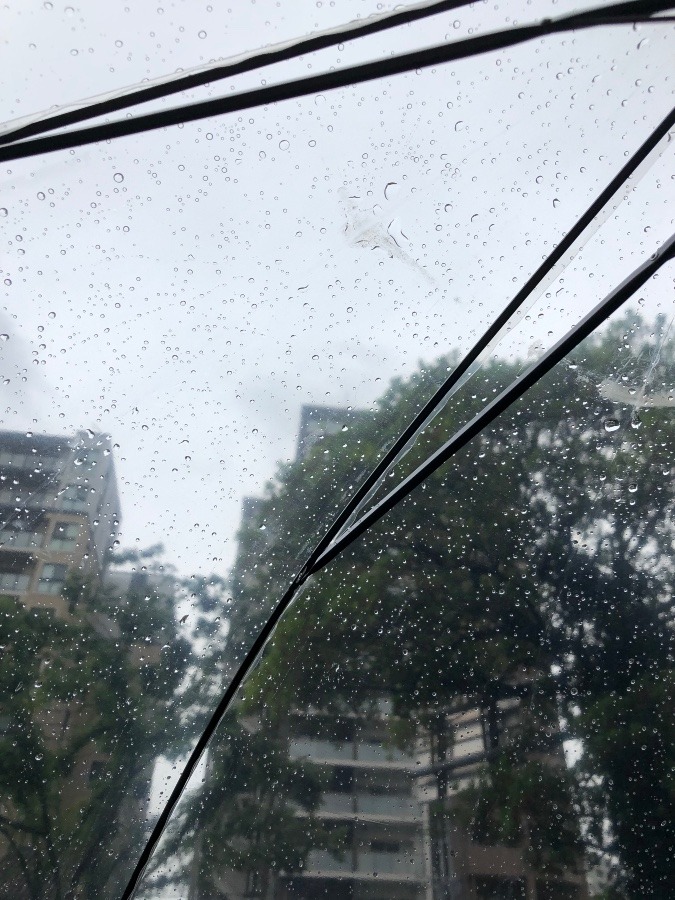 10時48分雨