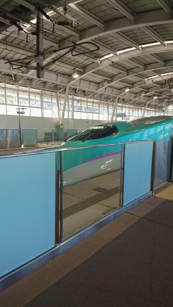 新幹線はカッコいい〜ね🚄