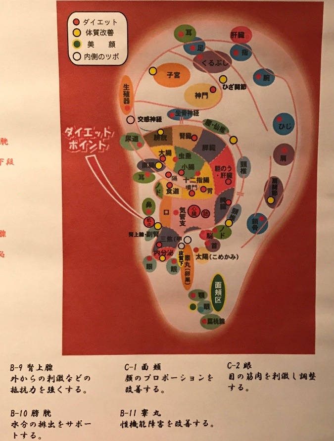 耳つぼ健康法・地図