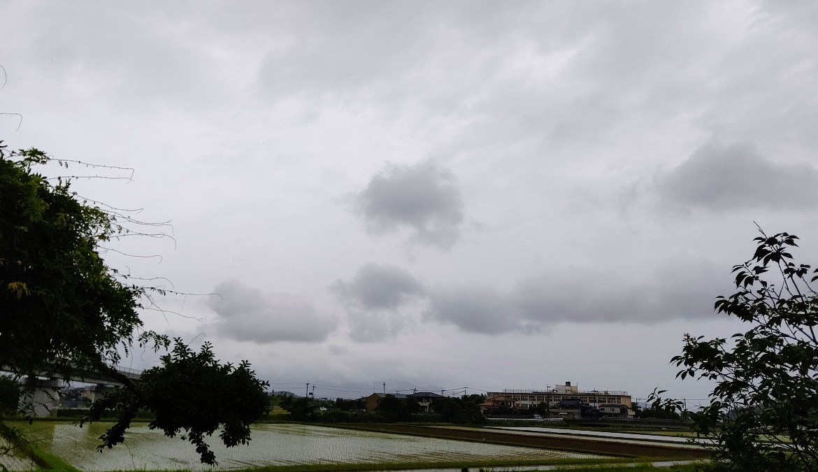 6/11朝空 雨🌧️