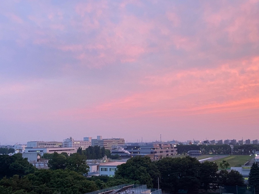 今日の夕暮れ