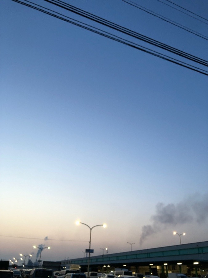 今日もお天気(^^)