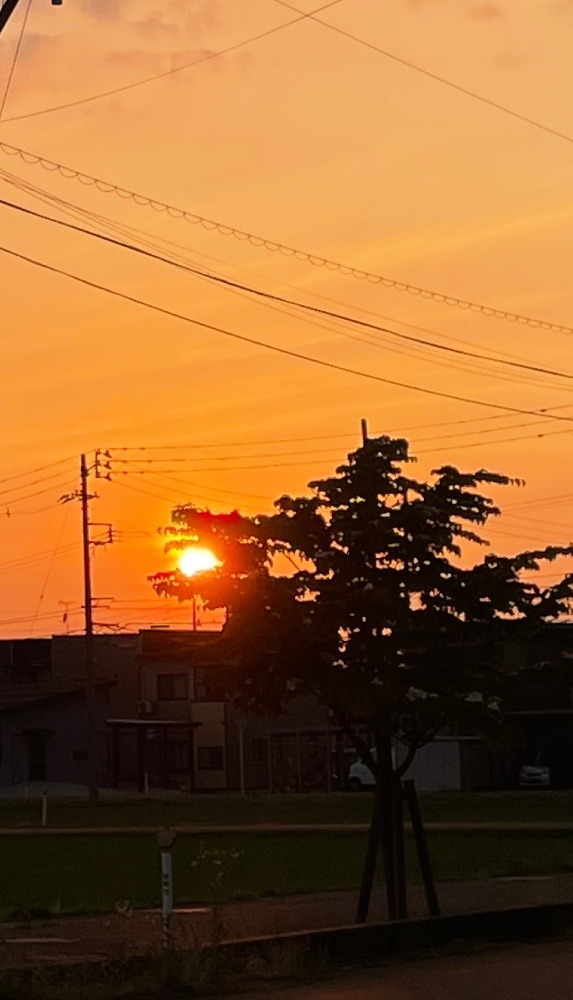 今日の夕日