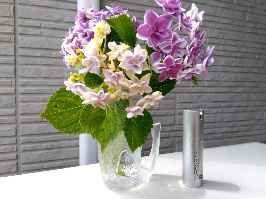 アイロニングクリームと紫陽花💜①