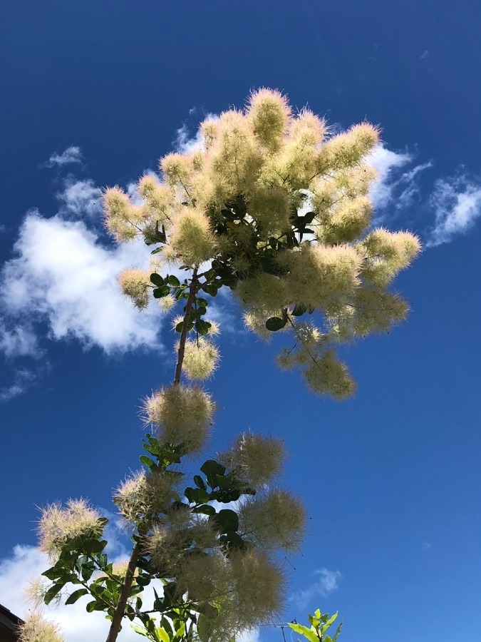 もくもくもく☁️☁️☁️