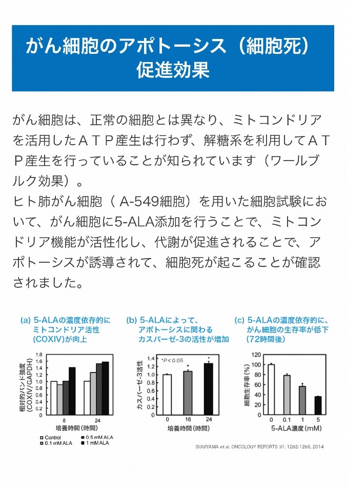 コレはわかりやすい^_^