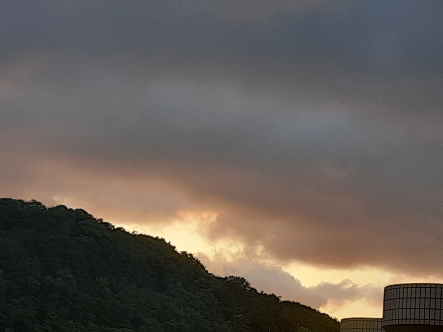 雲もくもく部❣️( ˶˙ᵕ˙˶ )🍀*゜