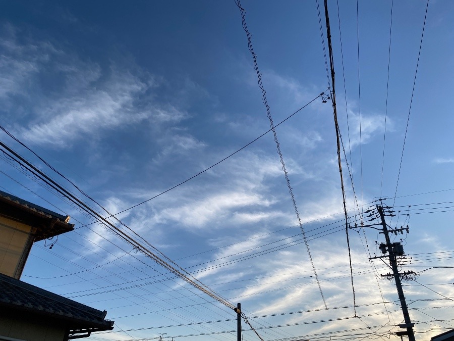 マグロのアラのような雲