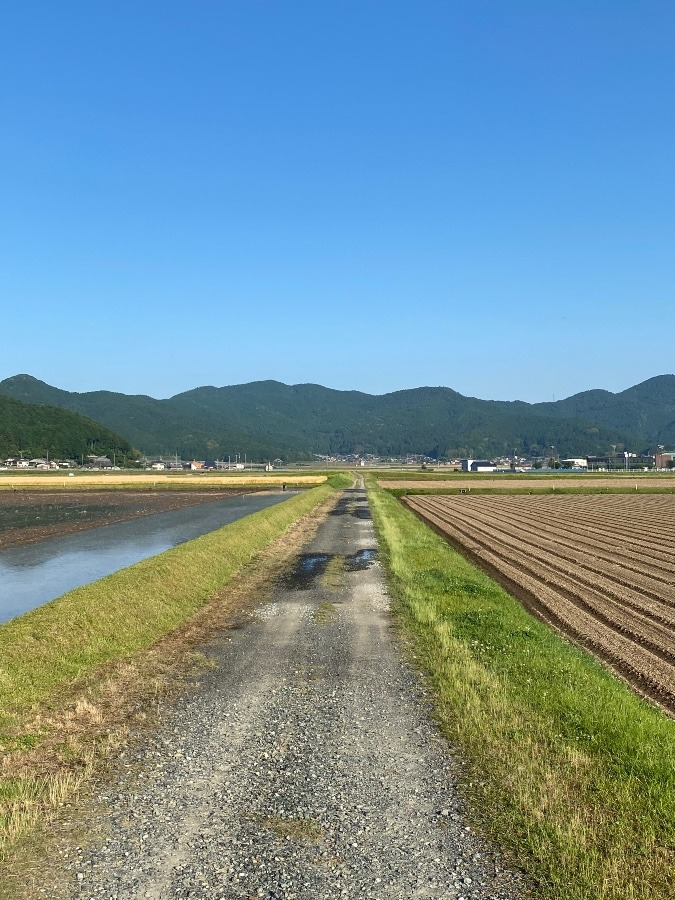 今朝そら‼️その5