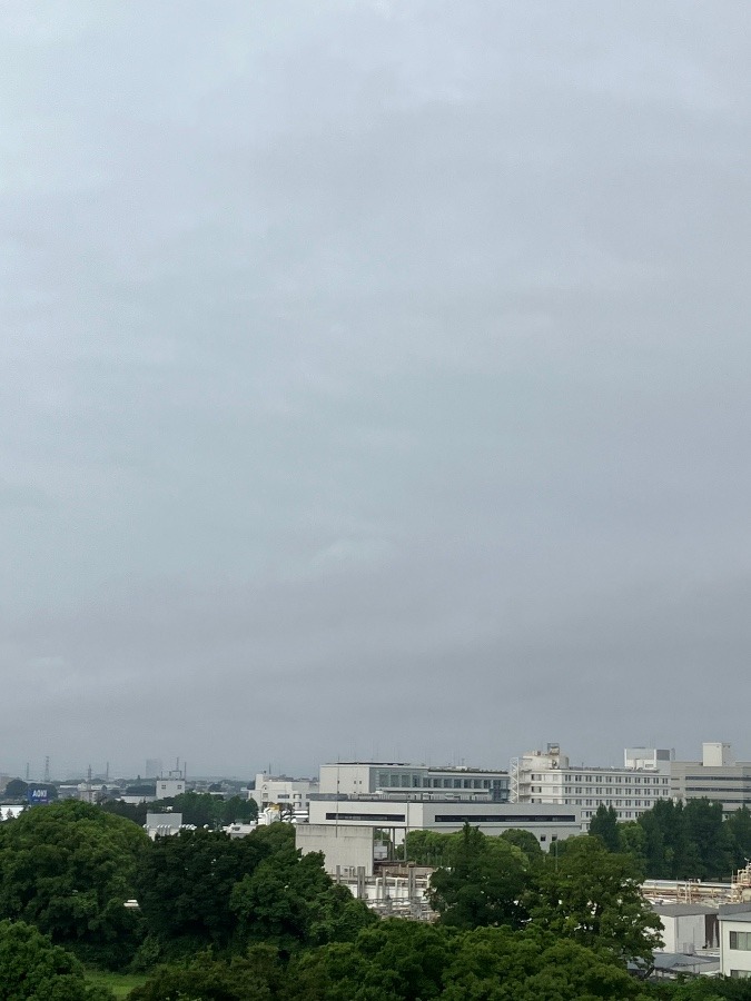 今朝の富士山