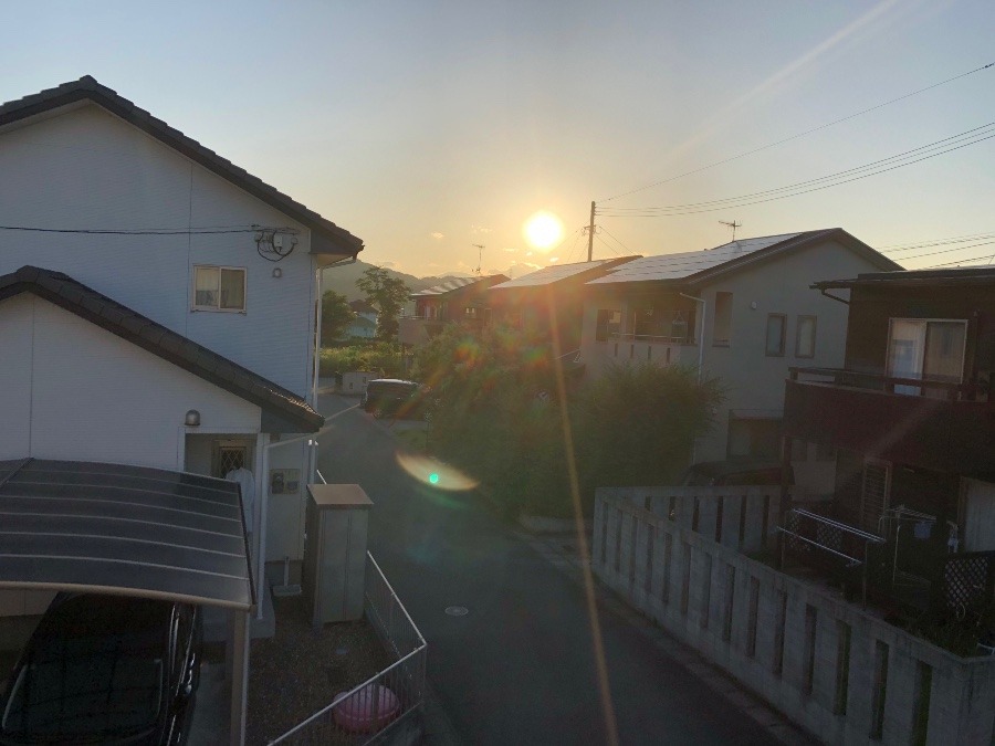 ✨今日の夕陽✨