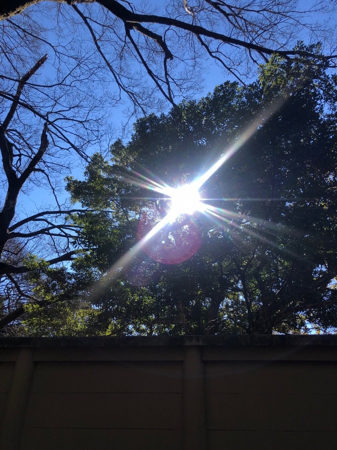 梅雨入り