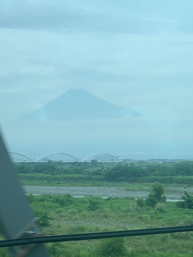 これもまた良し❗️