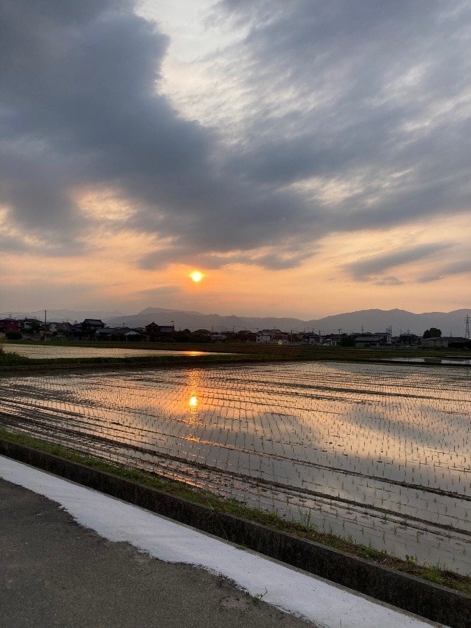 昨日の夕陽