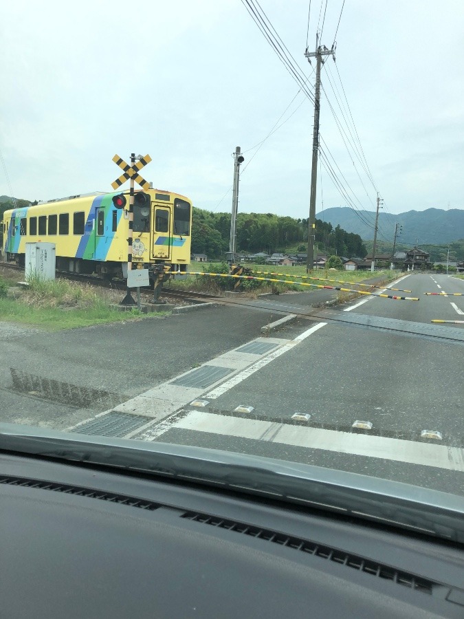 田舎の踏切