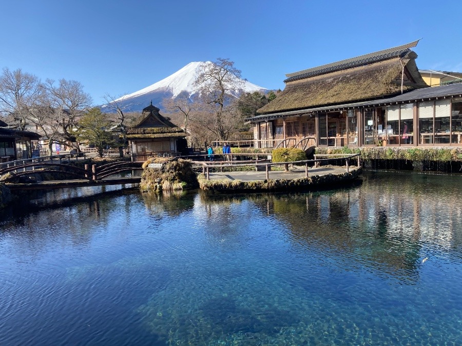 忍野八海