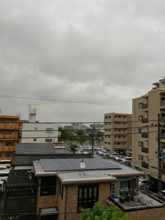 今日の天気!