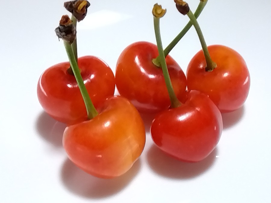 いただきもの✨紅秀峰🍒