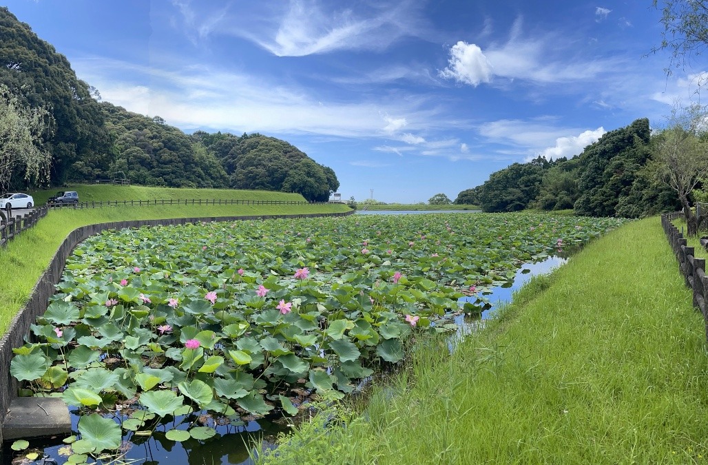 蓮ケ池