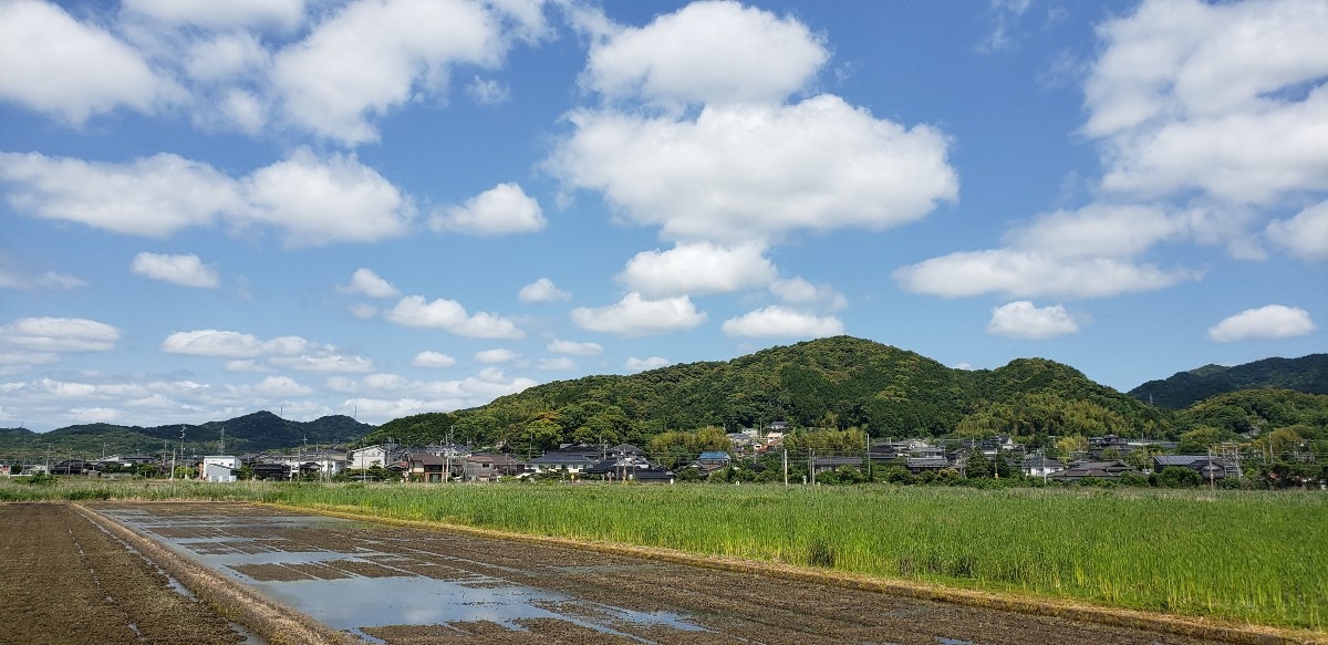 一番好きな雲たち❤️