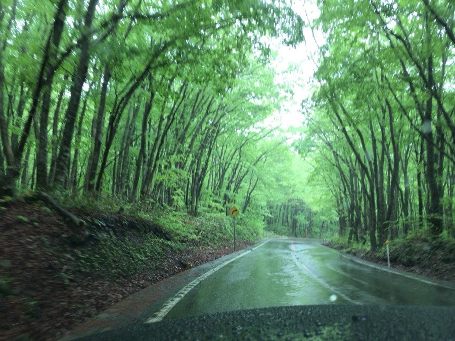 鳥取県大山