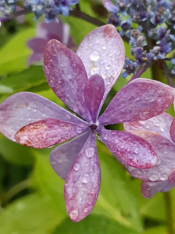 雨☔