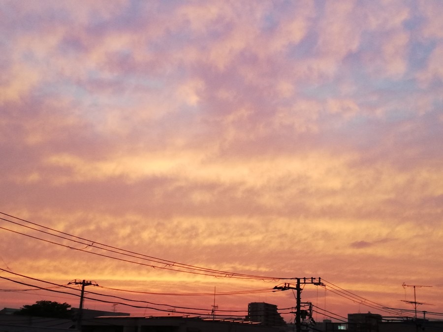 夕焼け🌇