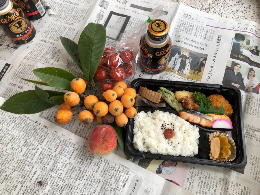 木陰で　３人で弁当ランチ