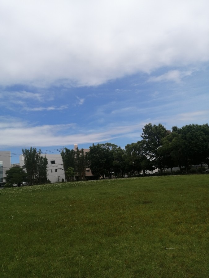 今日の空－公園6月21日