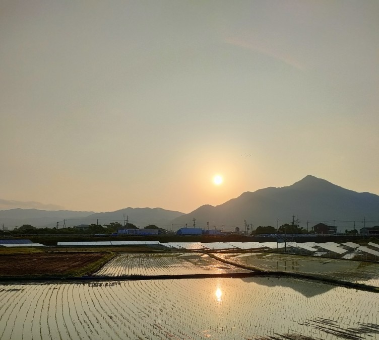 6/12朝日