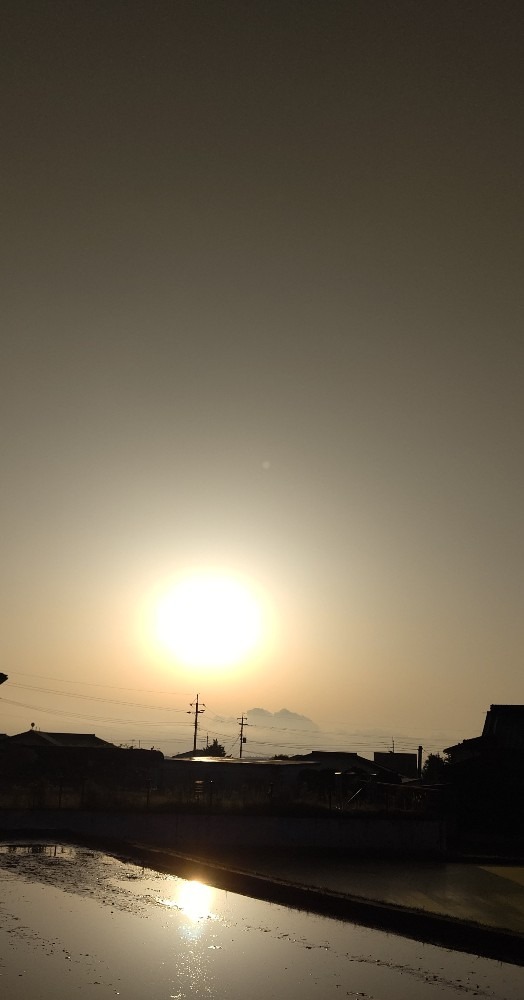 6/3朝空