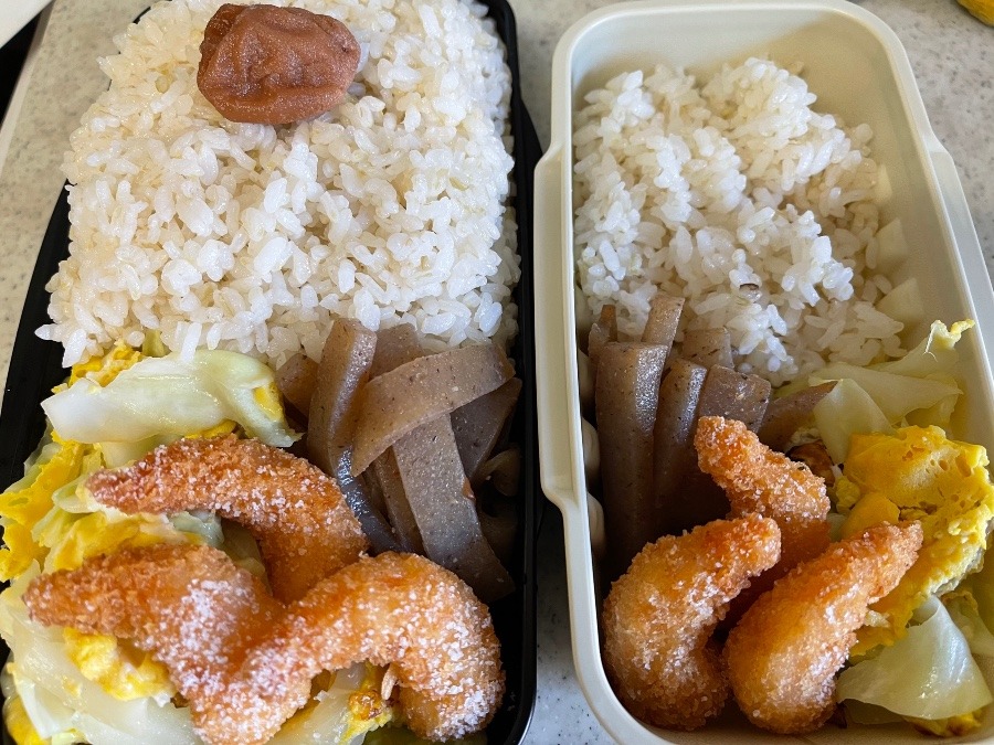 6/7 今日の弁当