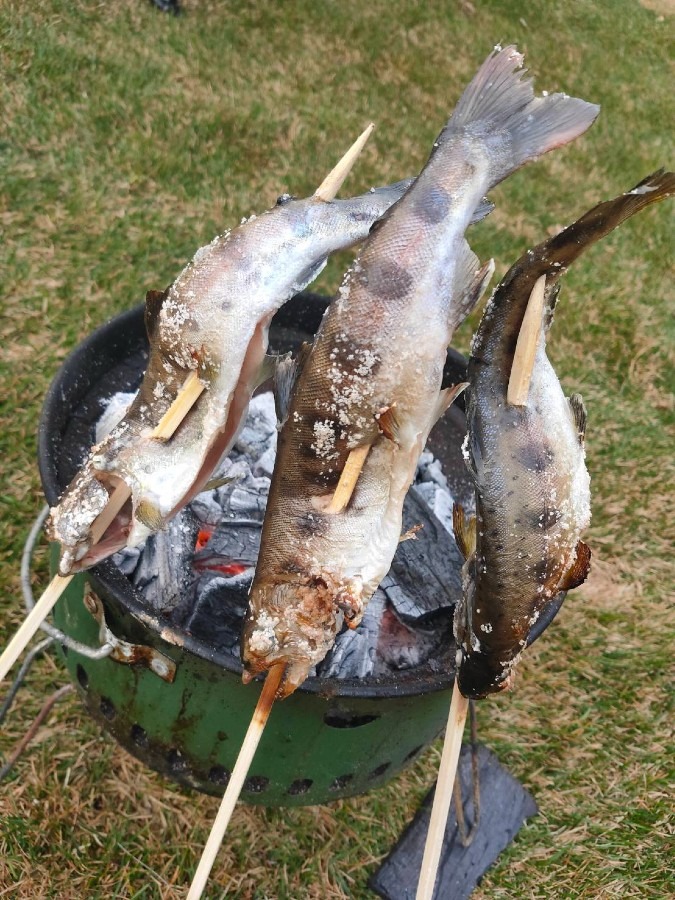 キャンプ行きたい〜