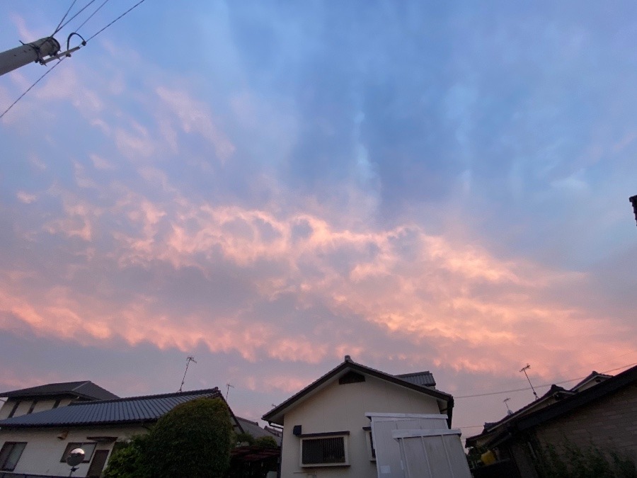 今空②