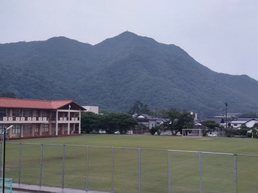 今日は雨模様