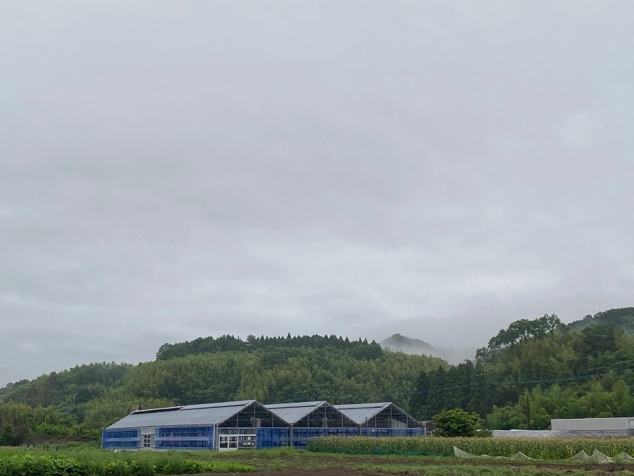 今朝の空