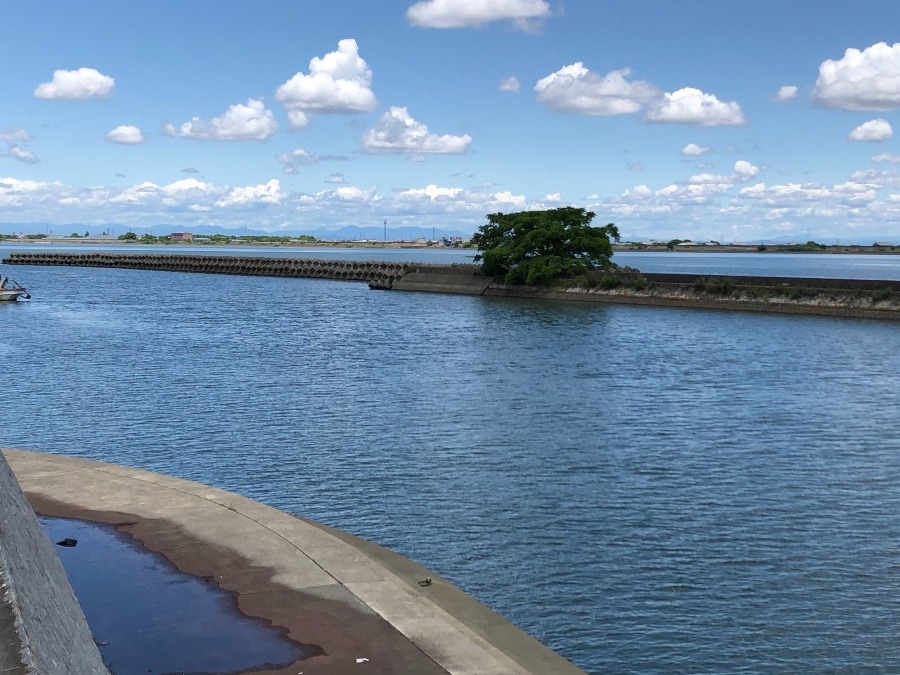 長良川の上流