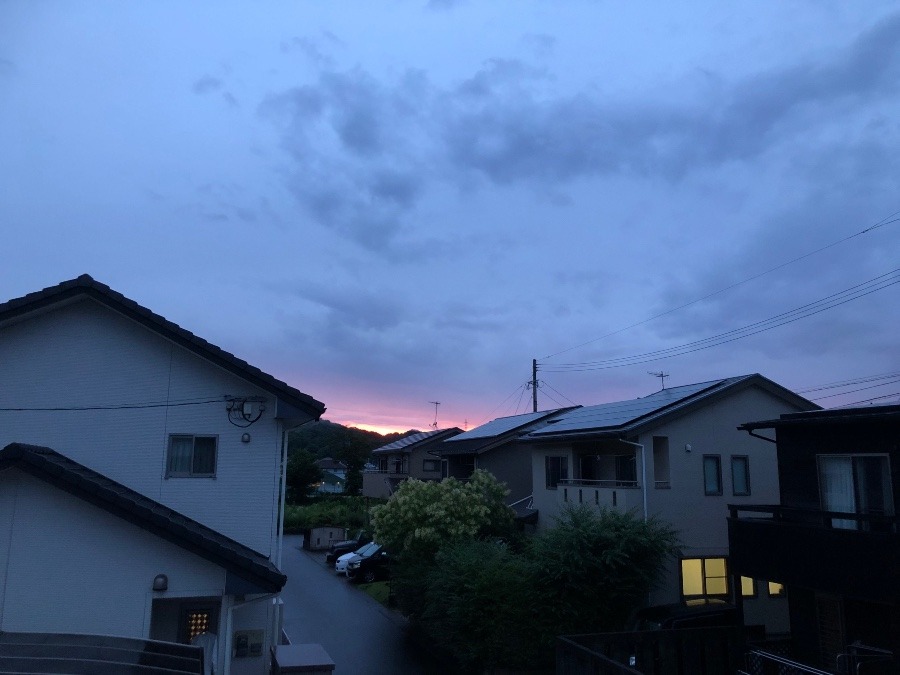 ✨今日の夕陽✨