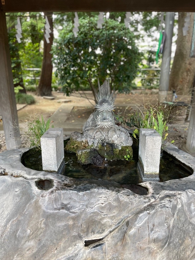 梅雨明け