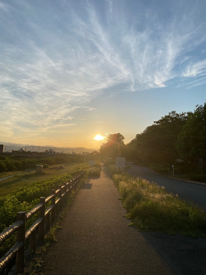 夕陽🌇