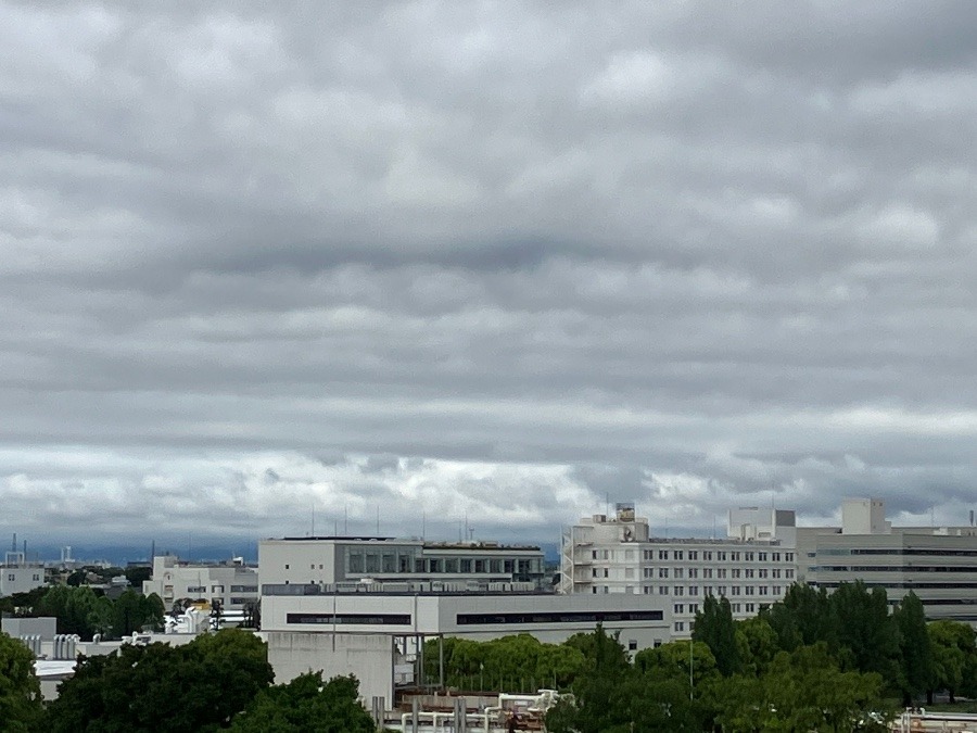 今朝の富士山２