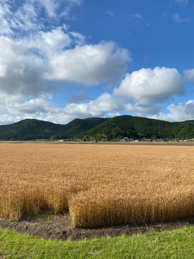 今朝そら‼️その3