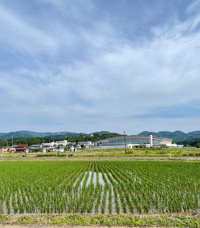 田植えの終わった「田んぼ」