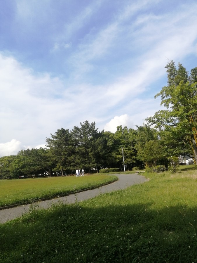 今日の空－公園6月19日