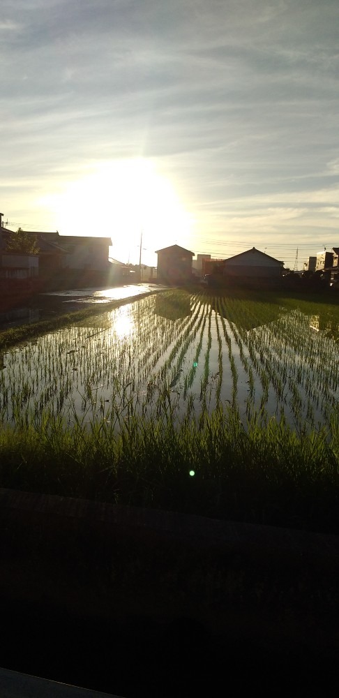 6時頃の太陽