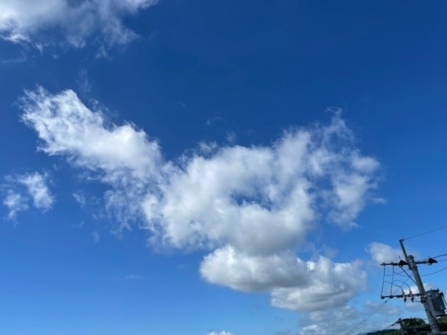 2022/06/29 朝の空