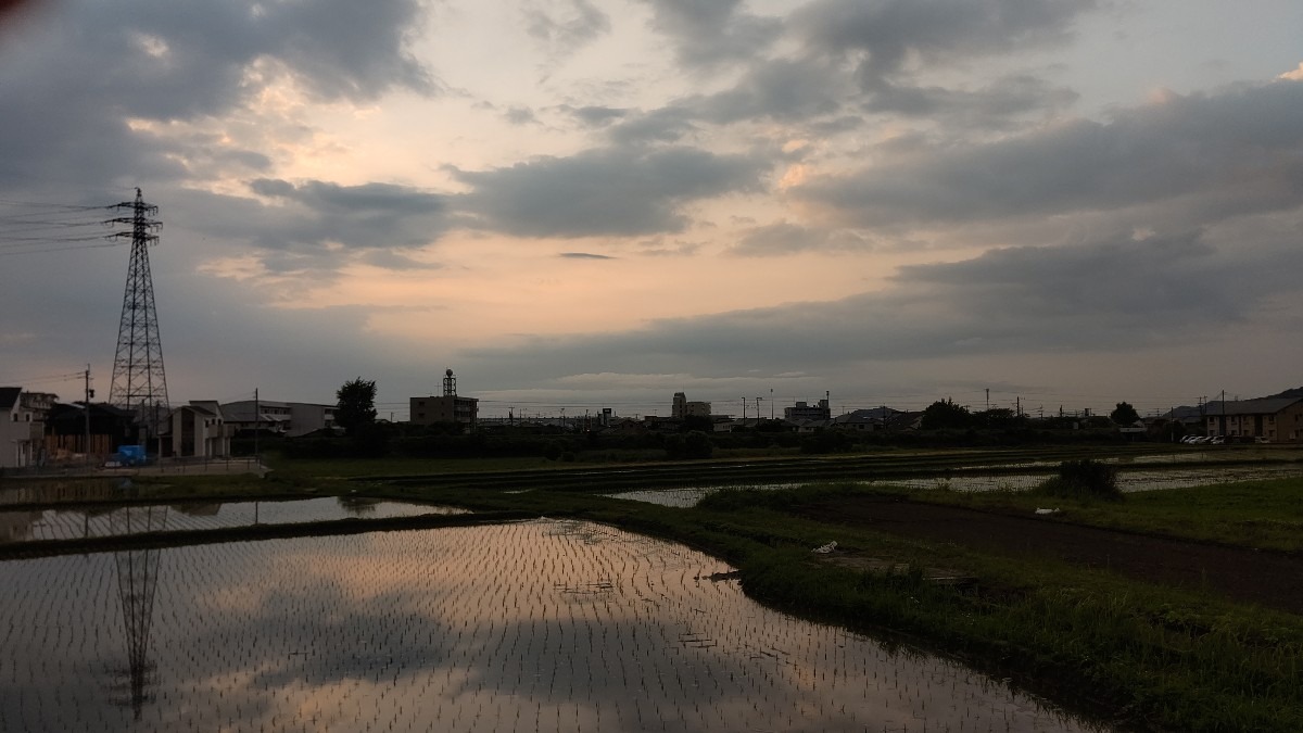 6/8朝空 曇り☁️