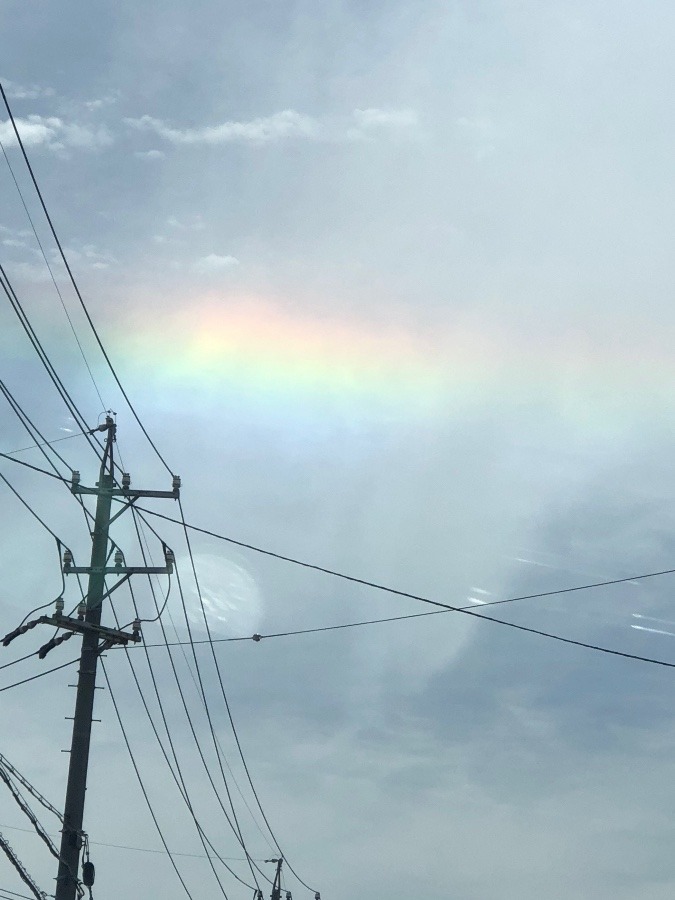 🚙今朝の車窓より🌈